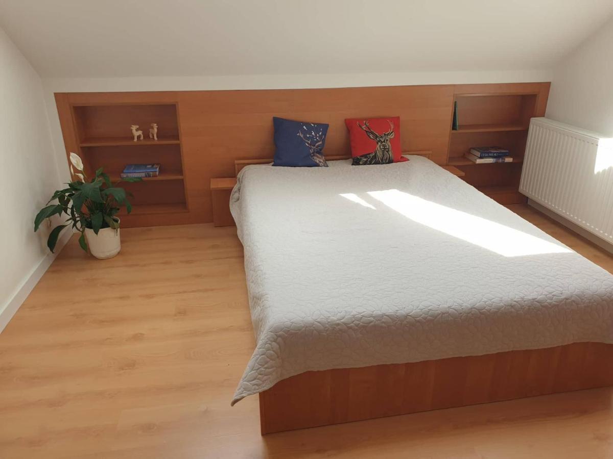 Apartament Panorama Єжув-Судецький Екстер'єр фото